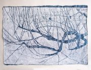 3-malus-svecica_2