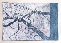 4malus-svecica_1